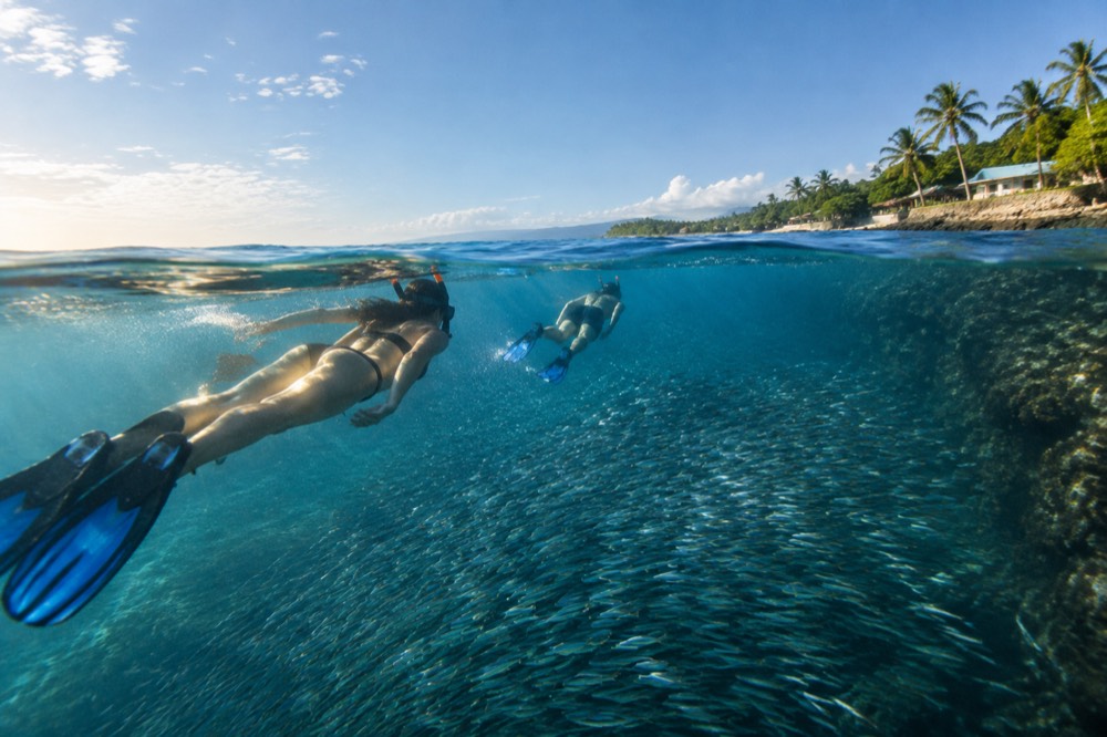 Snorkellers swimming over a dense school of sardines near the reef wall at Panagsama Beach, Moalboal, Cebu