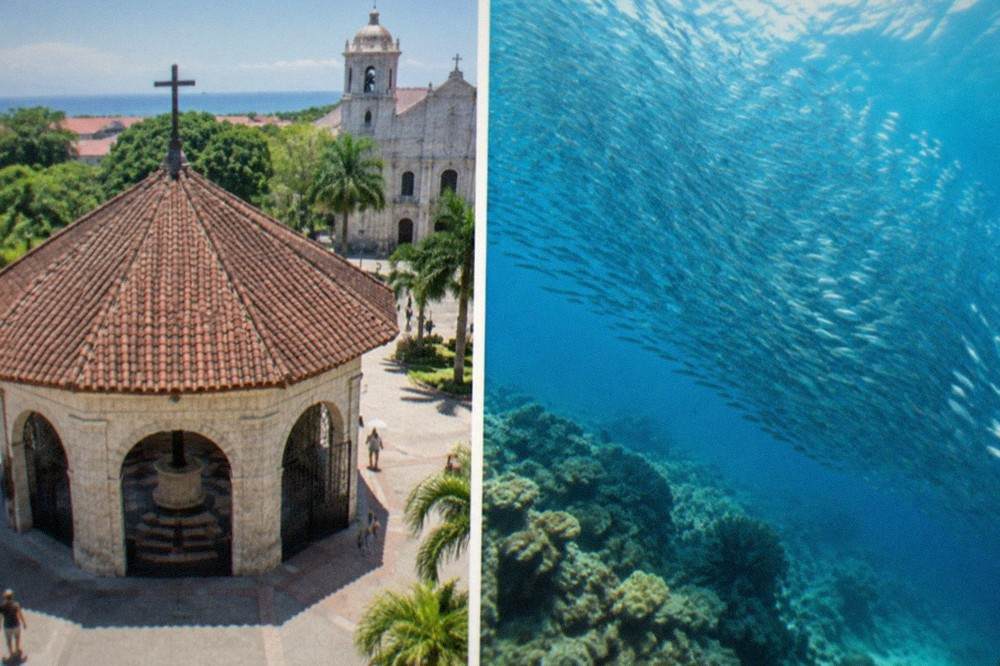 A dense school of sardines swirling in clear blue water above a coral reef