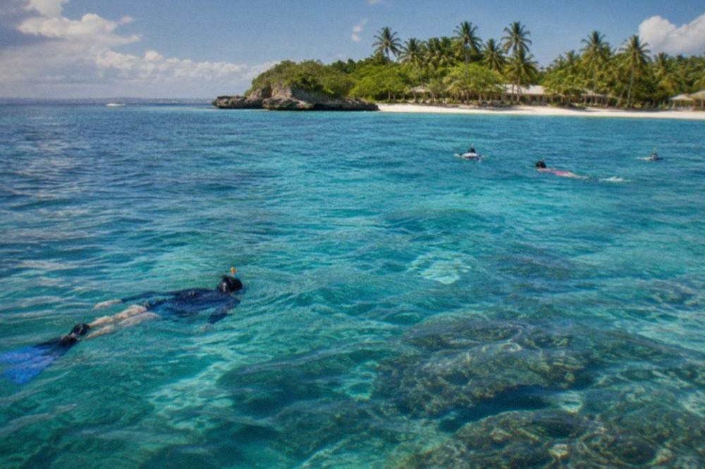 Snorkellers swimming over a coral reef beside a small white sand island near Mactan