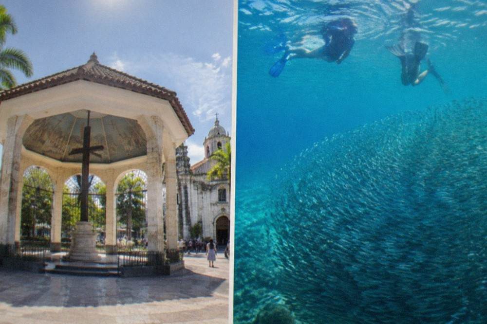 Snorkellers floating above a dense swirling school of sardines in clear blue water off a Cebu beach