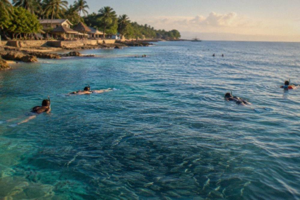 Snorkellers floating above a dense school of sardines swirling in clear blue water off Panagsama Beach, Moalboal, Cebu