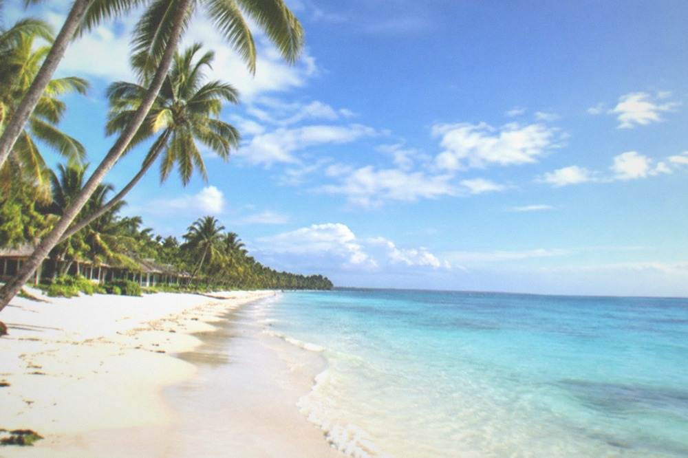 Palm trees leaning over an empty white sand beach on Bantayan Island under a bright sky