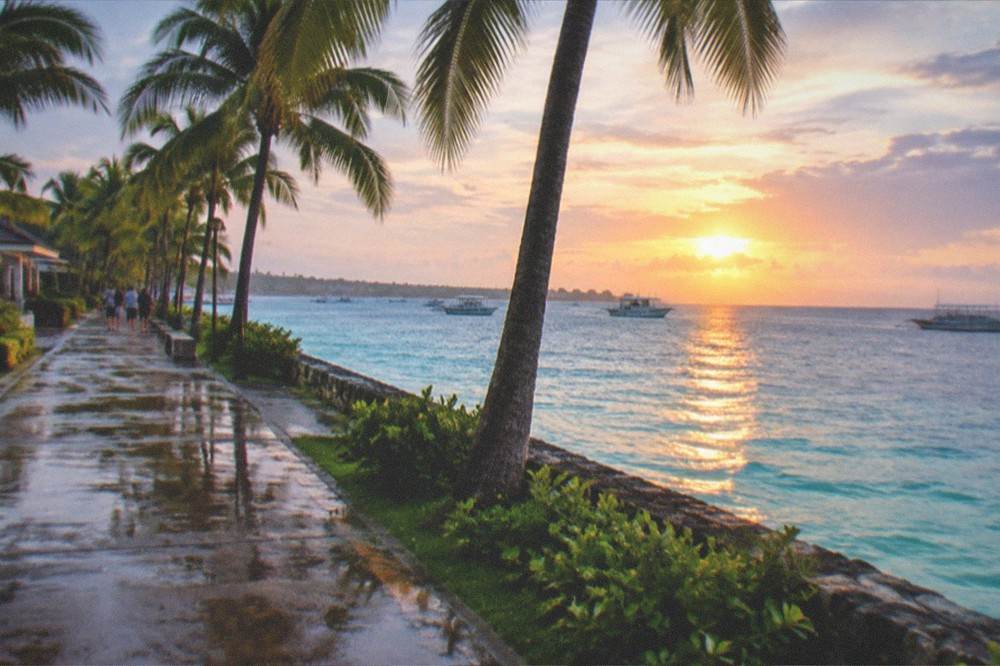 Palm trees along a waterfront promenade at sunset with boats in the distance