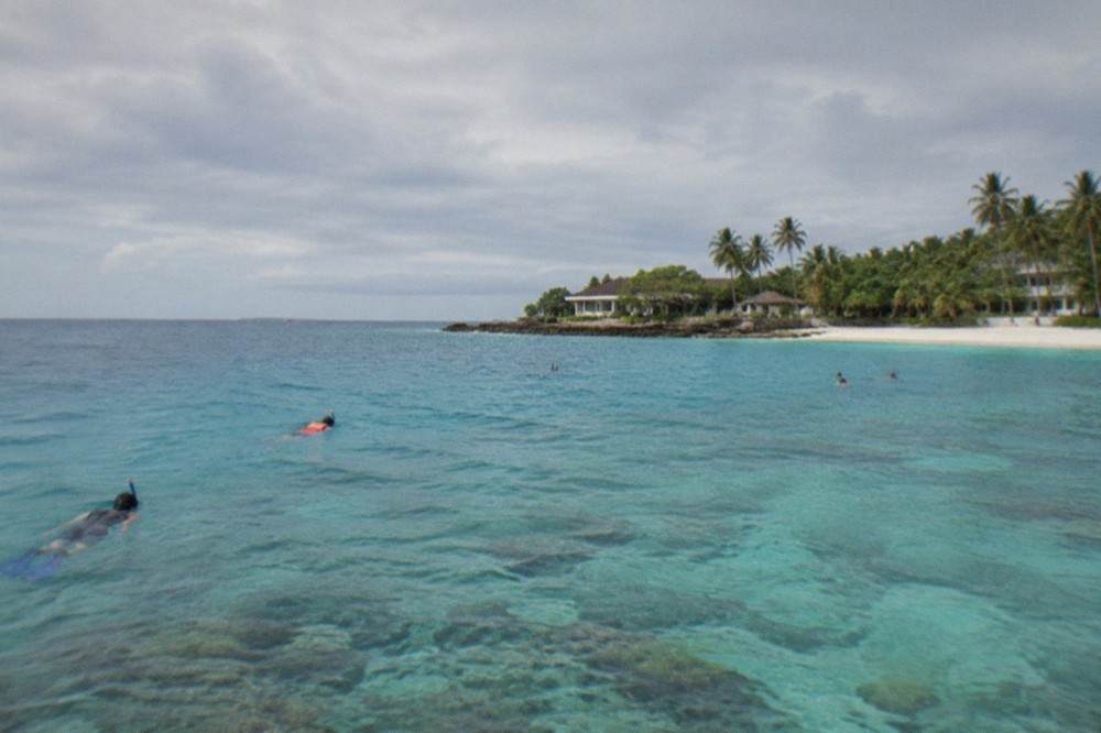Snorkellers swimming over a coral reef beside a small tropical island
