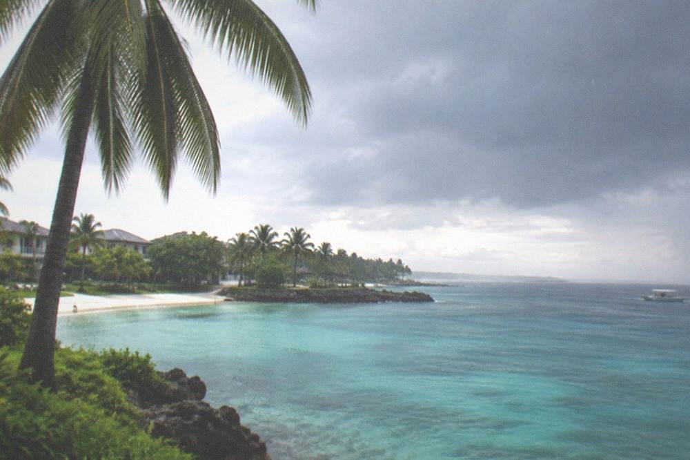 Dark rain clouds gathering over a calm tropical sea and a coastal palm tree