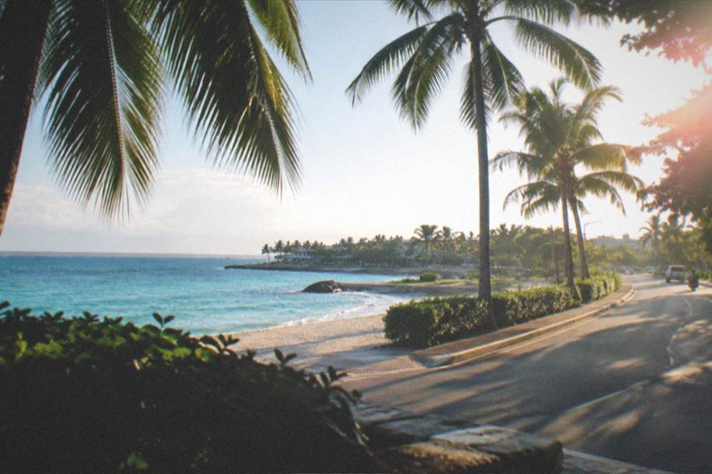 A coastal road lined with palm trees curving along a tropical shoreline