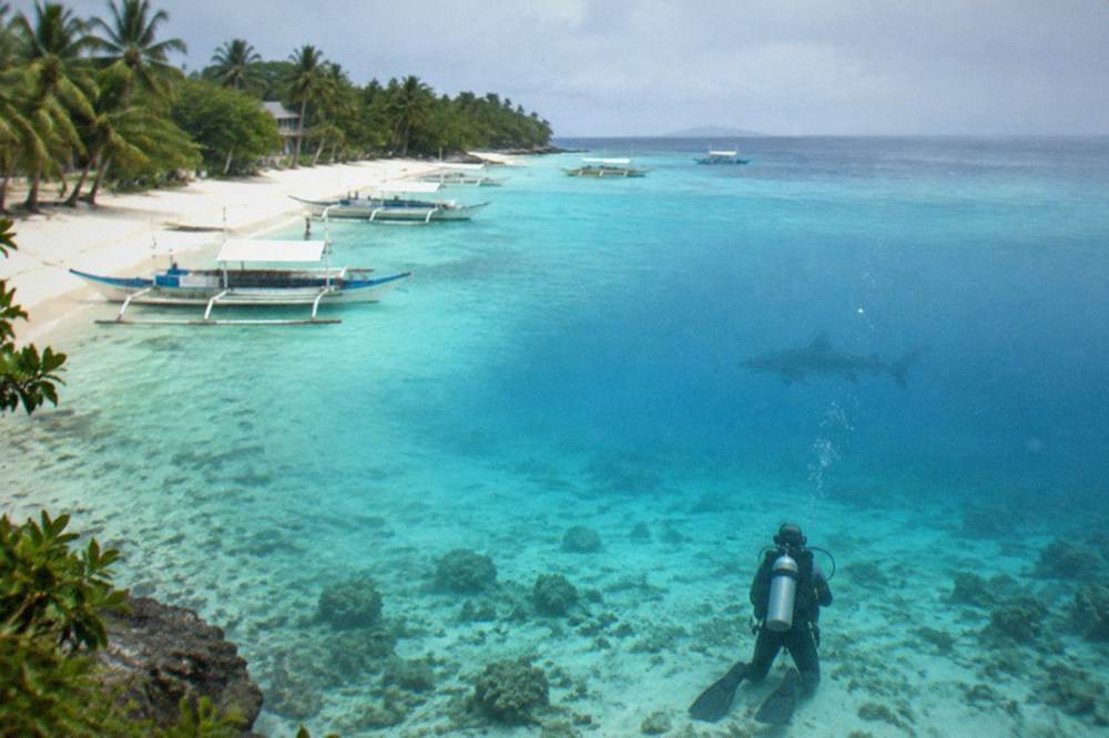 A diver kneeling on a sandy seabed watching a shark silhouette in blue open water