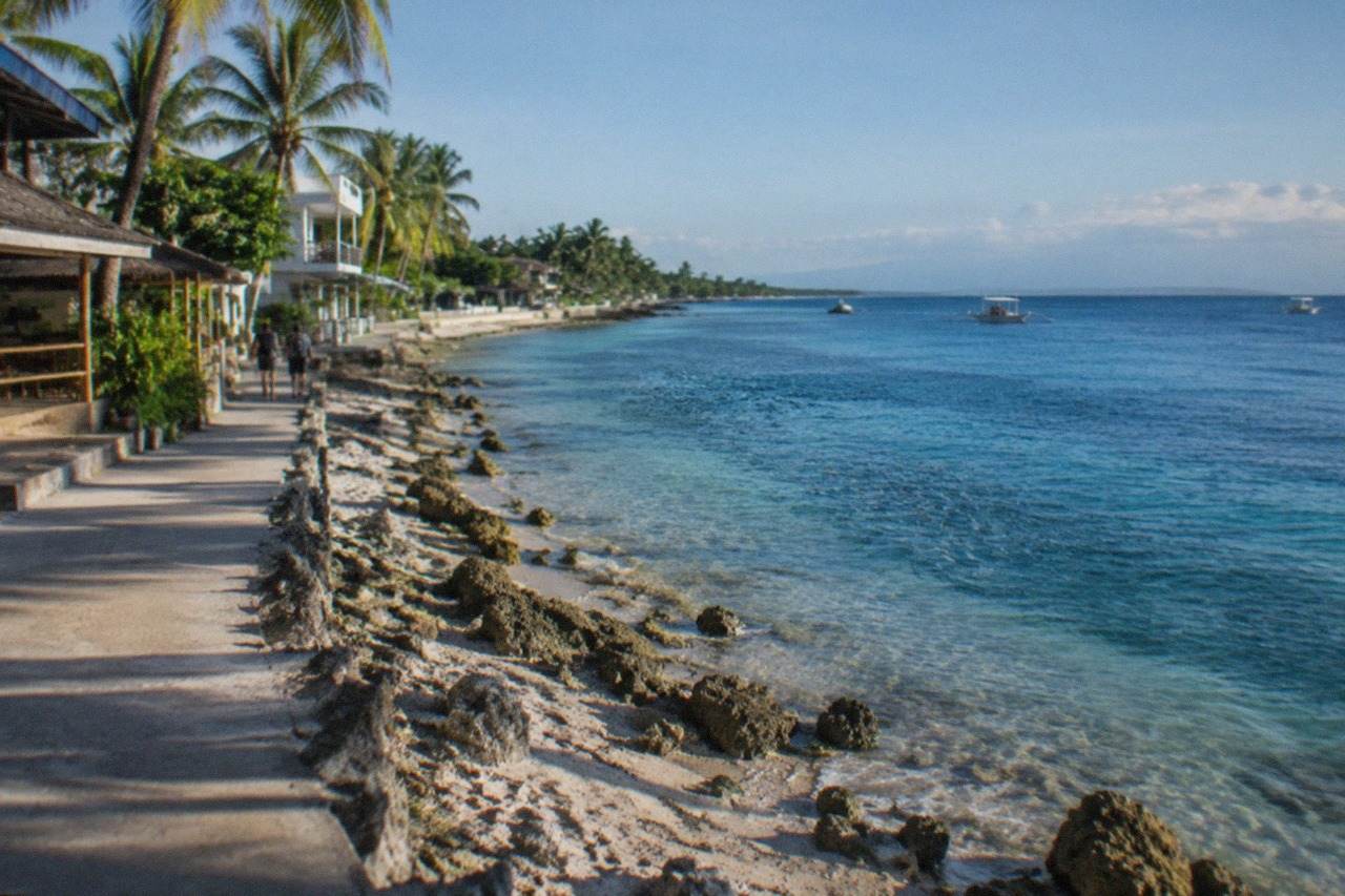 A coastal town street with low buildings and palm trees above a calm blue sea