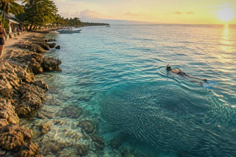 A dense silver ball of sardines swirling beneath a snorkeler in clear blue water