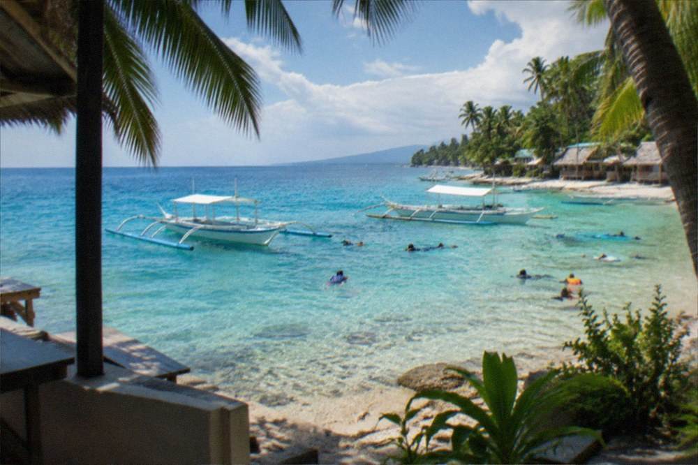 A simple beachfront guesthouse with cottages under palm trees facing the sea