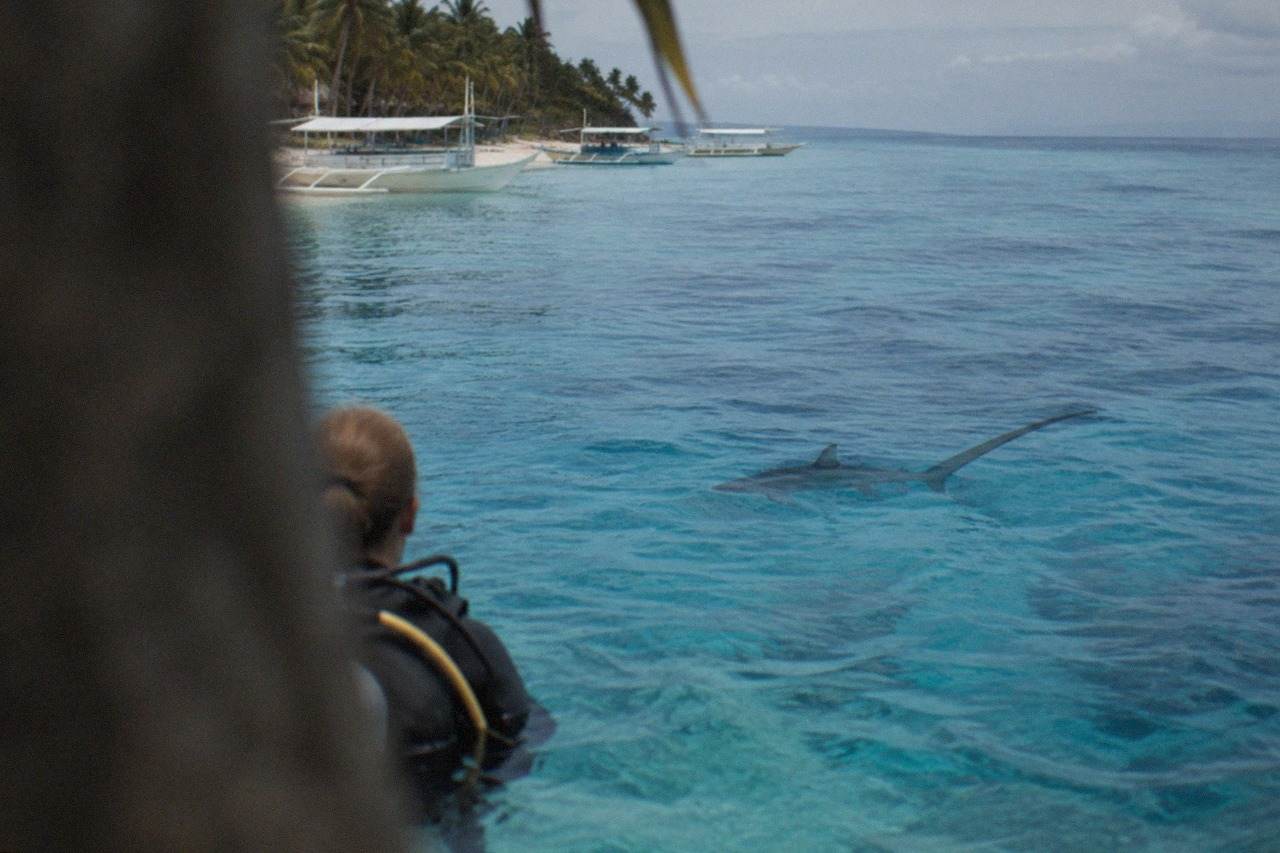 A diver watching a thresher shark with its long tail fin swim past over a deep shoal