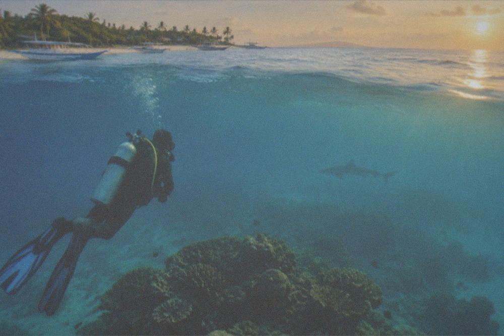 A diver hovering neutrally above a coral seamount watching a shark in the distance