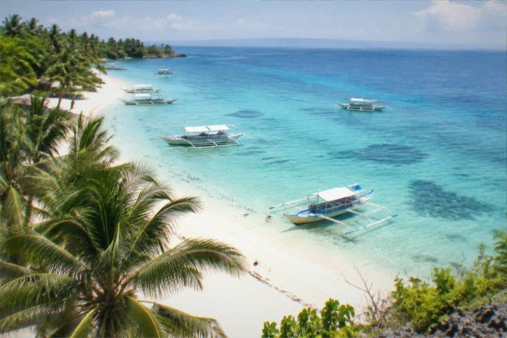 A palm-fringed white sand beach on Malapascua Island with bancas resting in shallow water