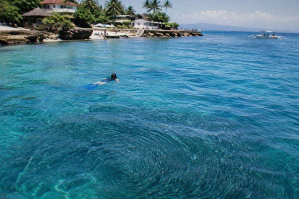 A snorkeler floating above a huge swirling school of sardines near the surface