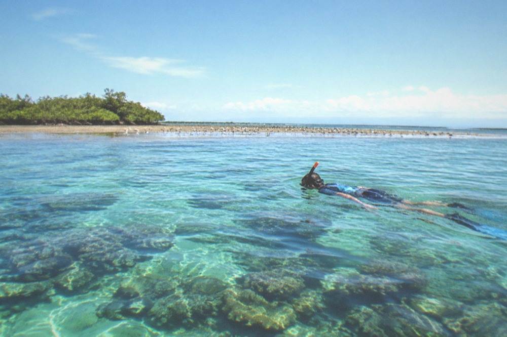 A snorkeler floating over a shallow coral reef near Olango Island, Cebu, Philippines