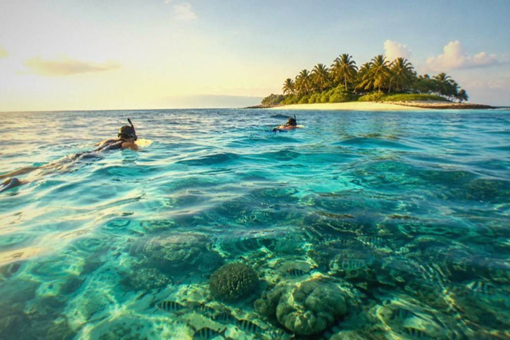 Snorkelers floating over a coral reef with schools of small fish in clear shallow water