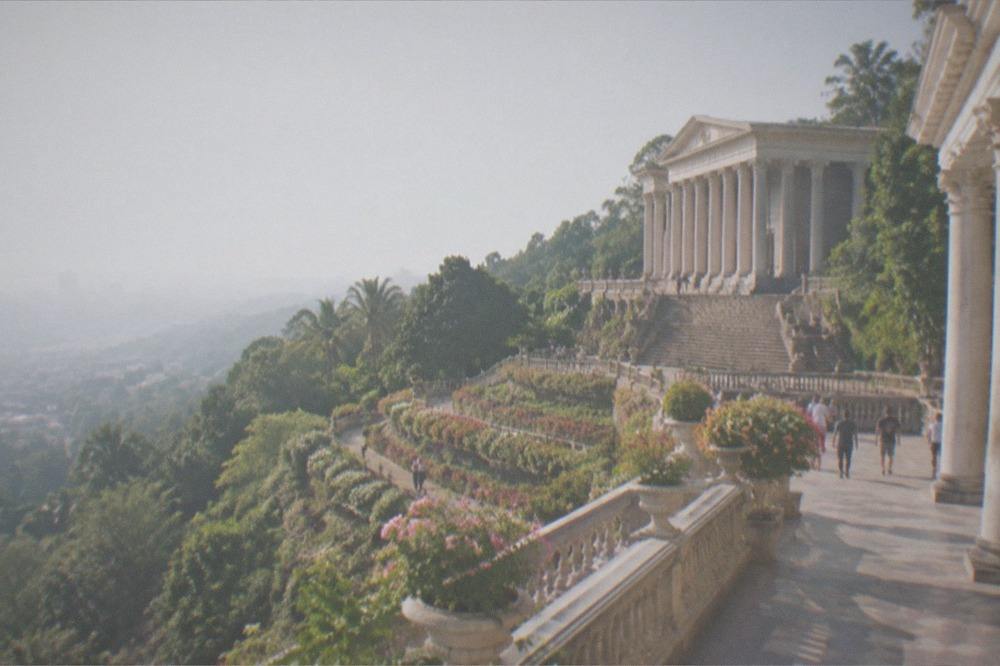 A hillside flower garden with rows of blooms and visitors on a terraced slope