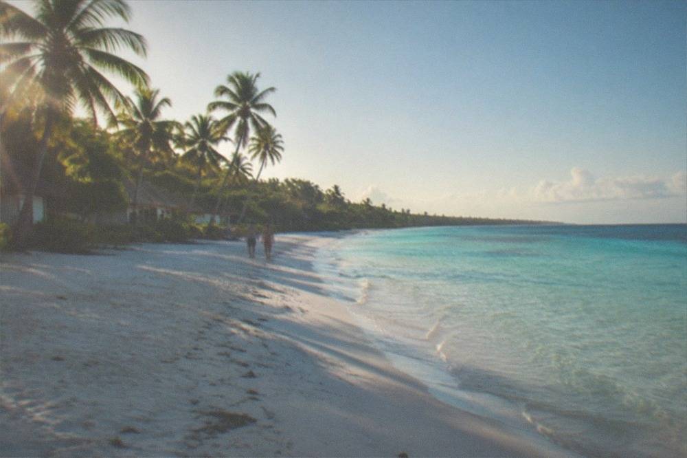 A wide empty white sand beach with a line of coconut palms and shallow clear water at midday
