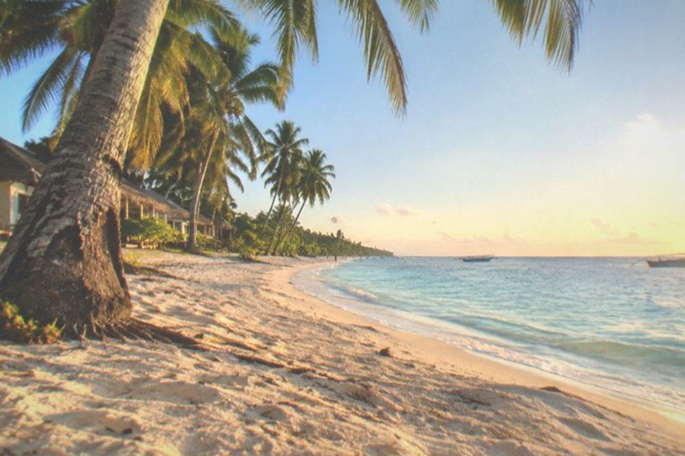 A coastal road curving along a shoreline with palm trees and a calm sea in morning light