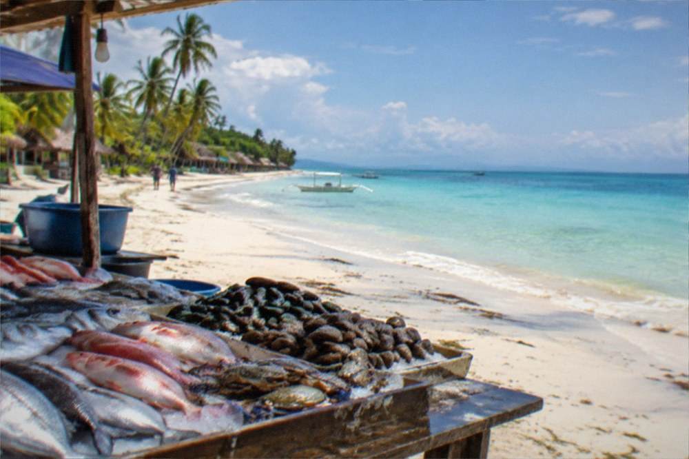 Fresh whole fish and shellfish displayed on ice at a small island seafood stall