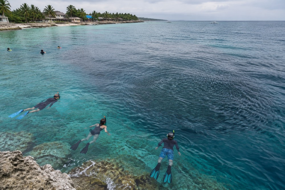 Snorkellers watching a dense school of sardines swirl just offshore at Moalboal