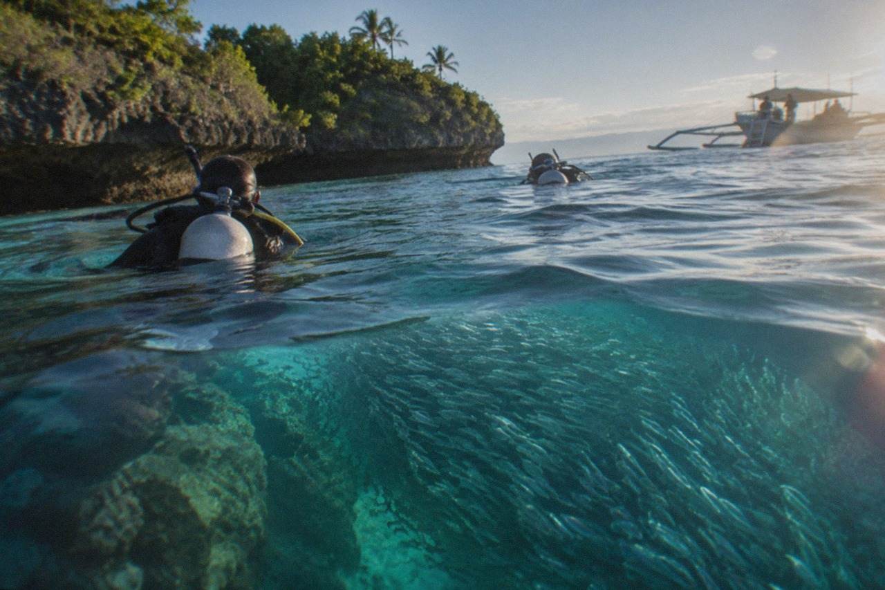 Divers floating above a dense school of sardines near a coral reef wall