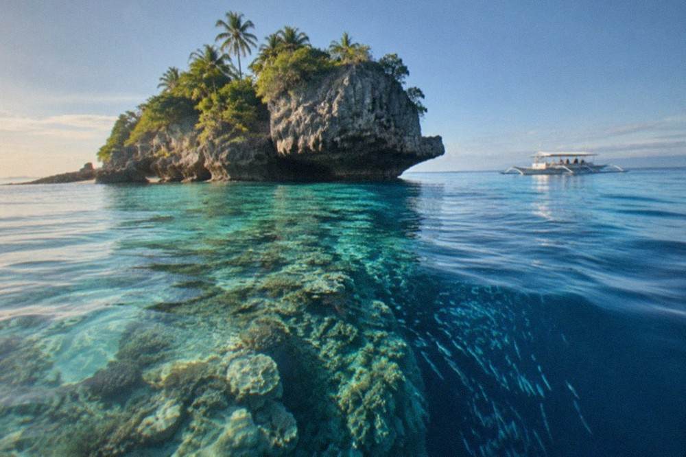 A coral wall dropping into deep blue water with schooling fish along the edge