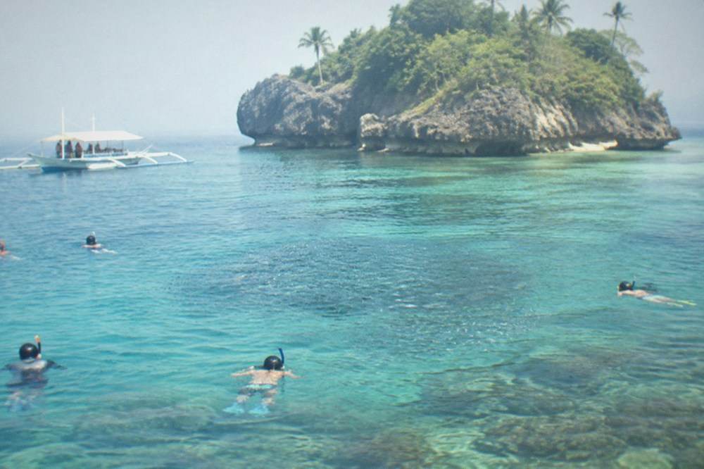 Snorkelers watching a swirling ball of sardines in sunlit shallow water