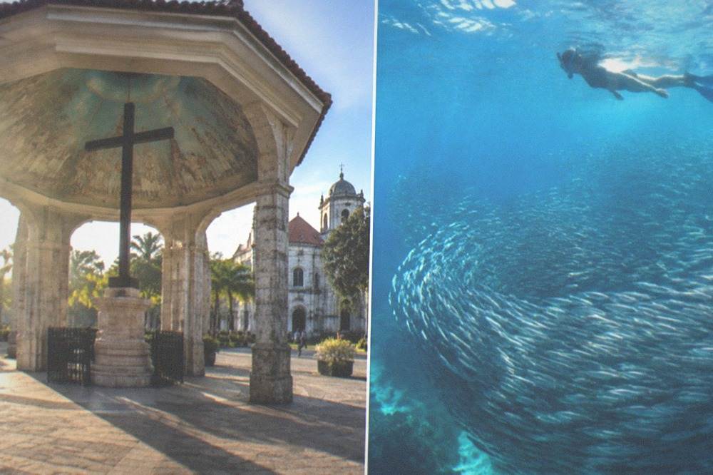 A snorkeller floating above a large swirling school of silver sardines in clear blue water