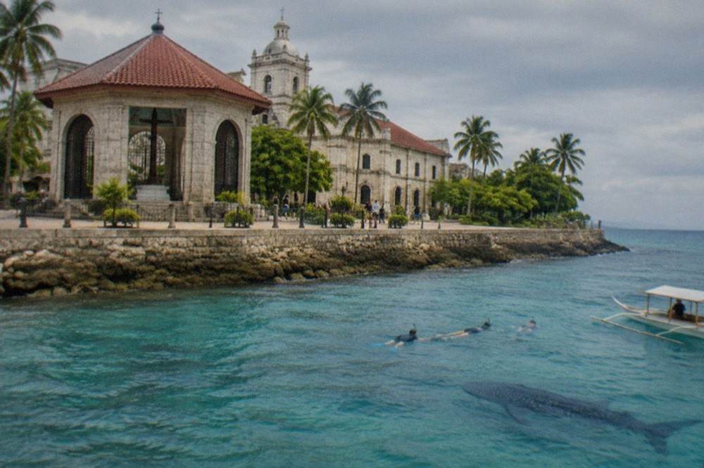 Snorkellers in the water near a large whale shark shadowed by a small wooden boat