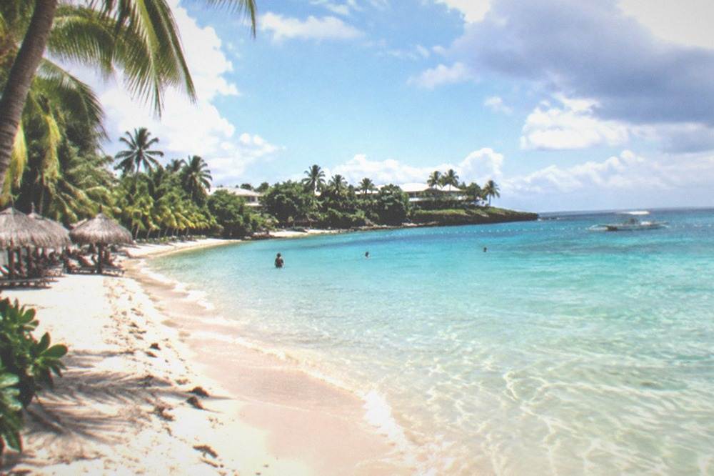A palm-lined beach with thatched umbrellas and calm shallow water on Mactan island, Cebu