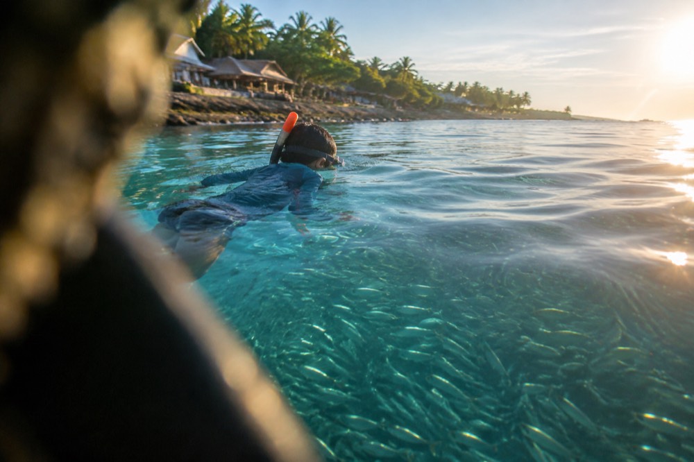 A child snorkeling over a large school of sardines in clear water off a beach in Moalboal